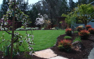 Good irrigation systems are key to a successful garden