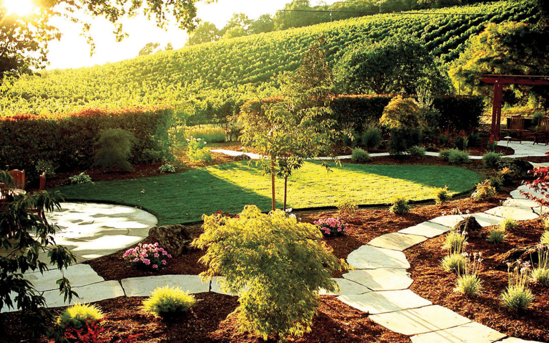 Multi-use open space with a winery background