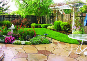 Gardens, patio design, and structures