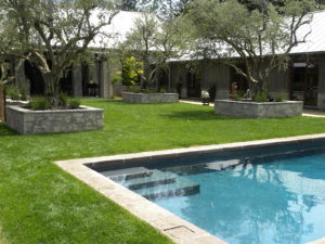 Enhancing a backyard pool space with landscaping