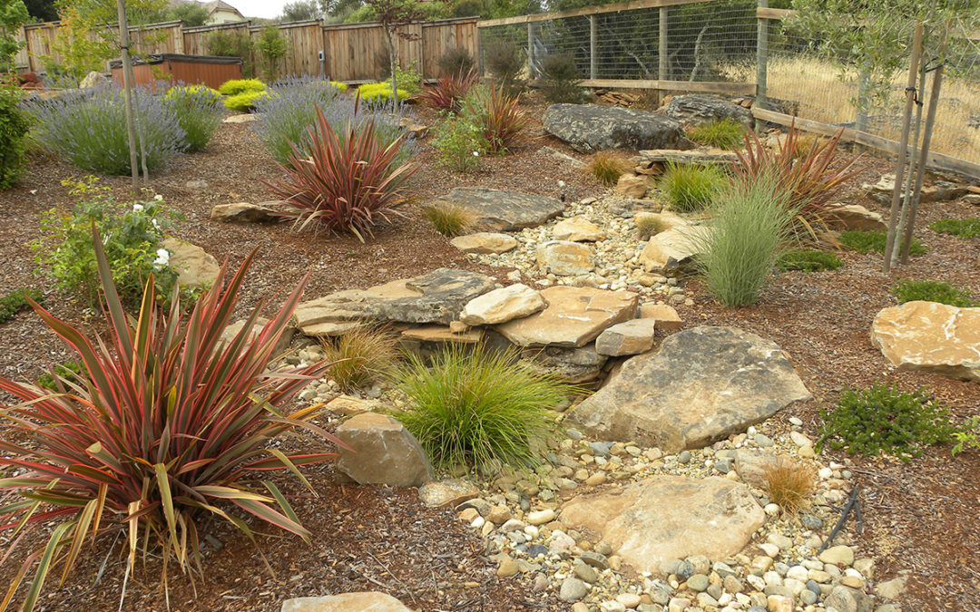 Dry creek bed meanders through the garden