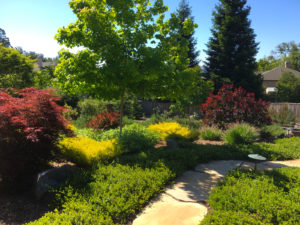 Gorgeous backyard landscaping