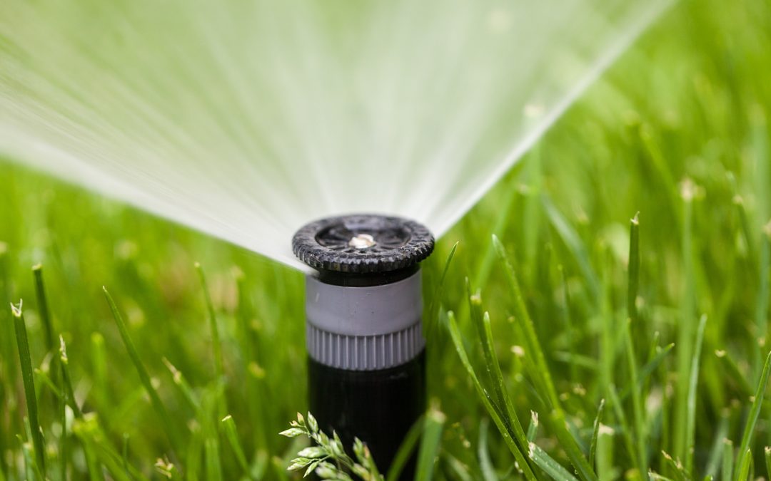 Irrigation systems keep your garden hydrated