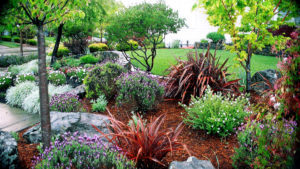 Details Landscape Art is a landscaping contractor in Sonoma County CA