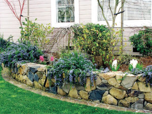 A stone retaining wall with draping plants