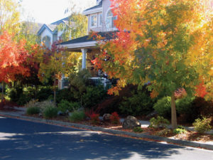 Curb appeal in autumn