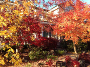 Fall colors surround this front yard