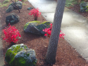 Boulders on this sidewalk show how to add to your curb appeal