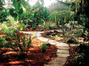 a flagstone pathway through this garden