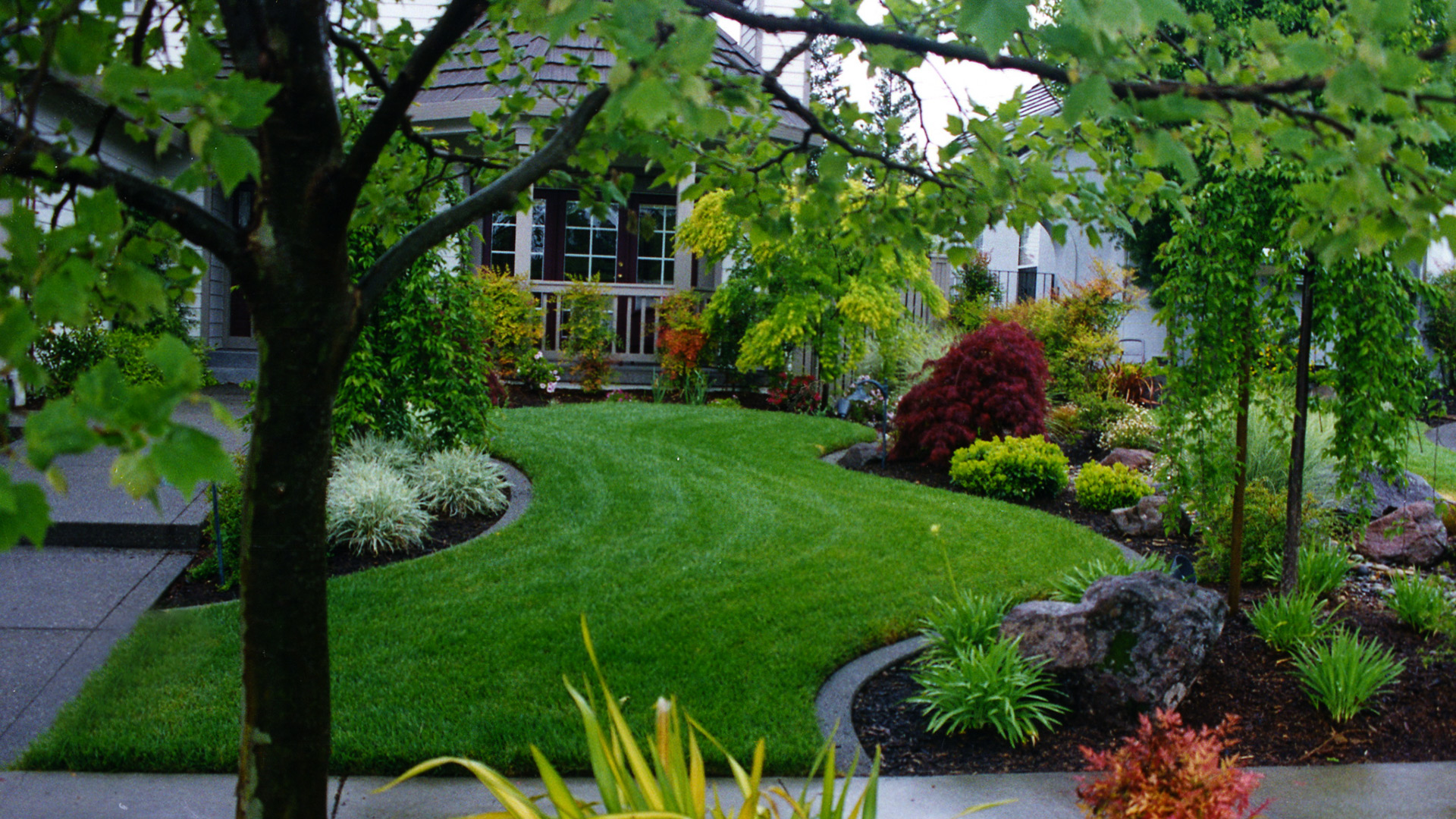 A lush sweeping front yard lawn with colorful foliage plants