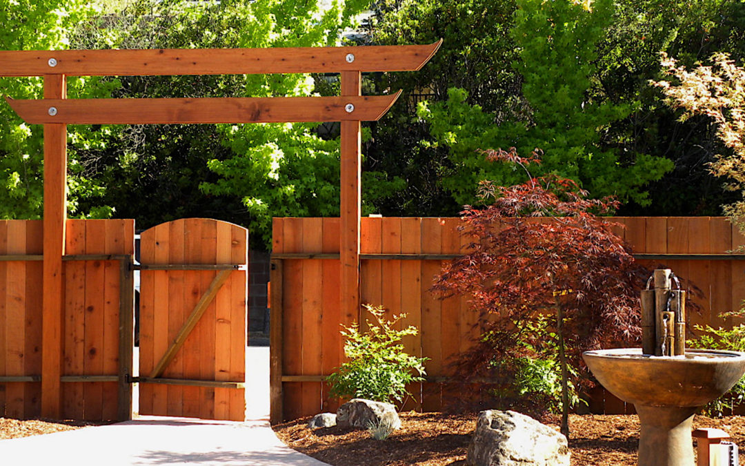 Structures and Fences add linear scope to a garden