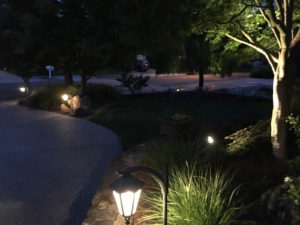 Lighting along the driveway