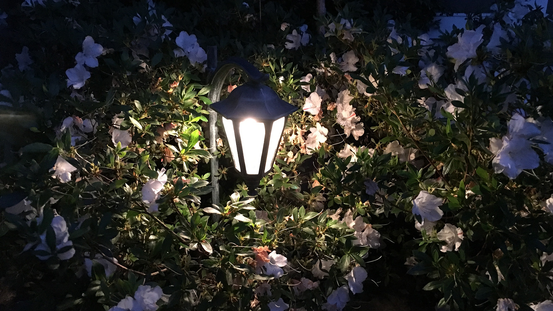 Lantern pathlight