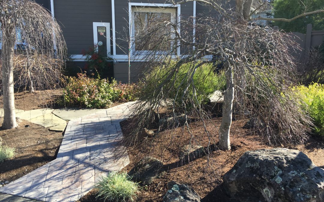 Winter Pruning for Healthy Sonoma County Gardens