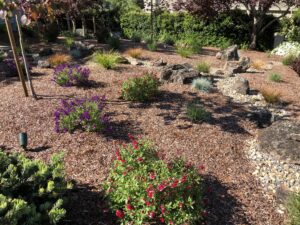 Dry creek bed and plantings in this backyard oasis