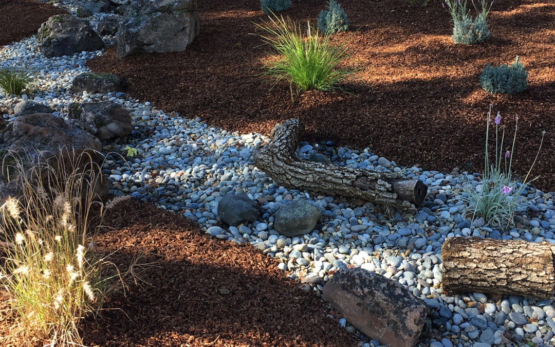 Napa (Dry Creek Road) Featured Garden