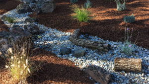 Napa dry creek bed with native grasses and driftwood