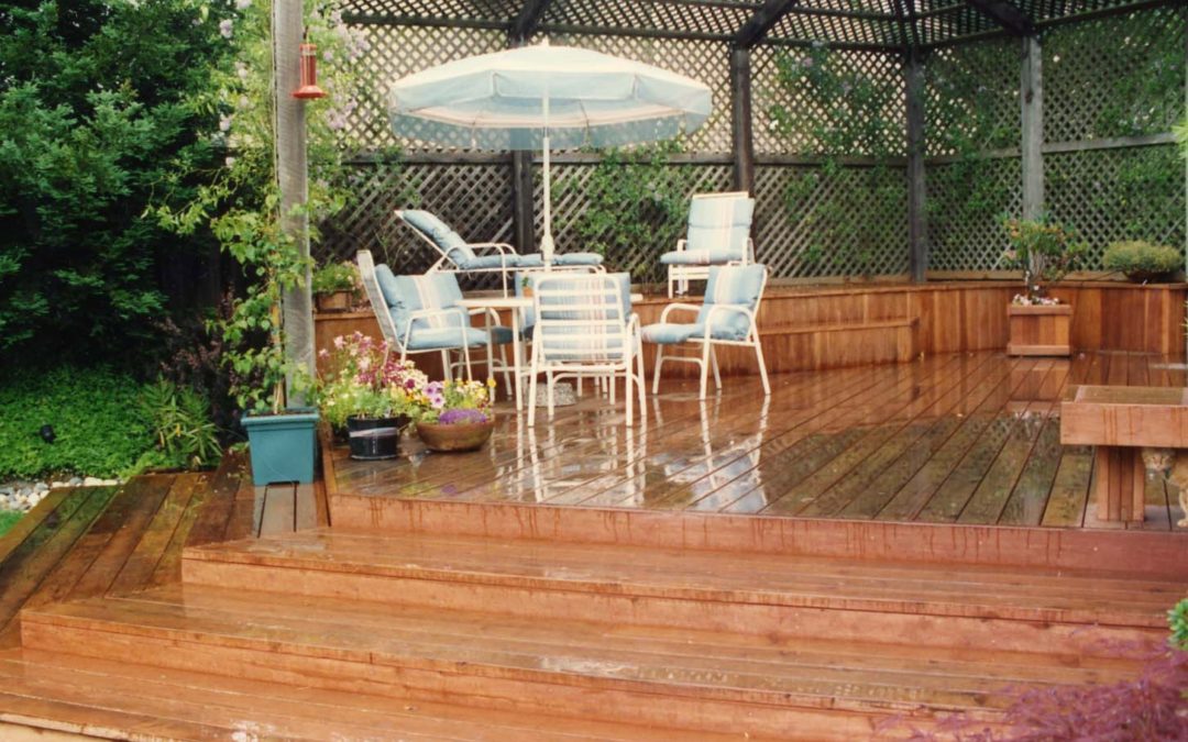 How It All Began For a Local Landscaper