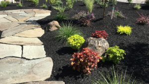 Black shadow chips surround a flagstone walkway