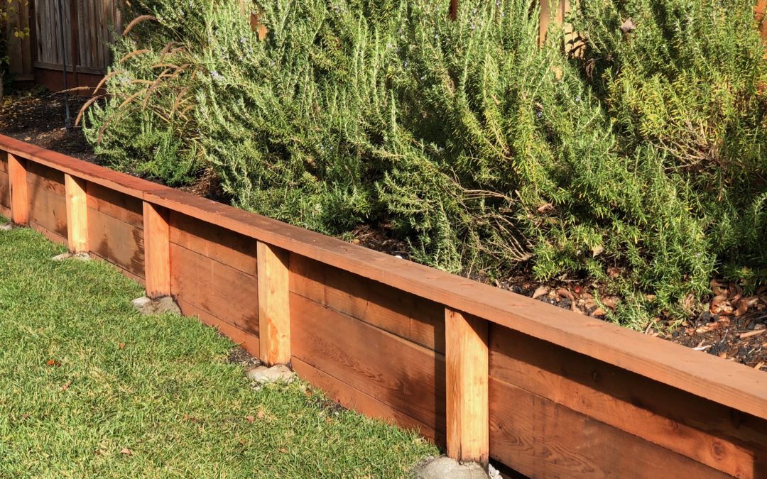 Novato Featured Garden: Redwood Retaining Wall