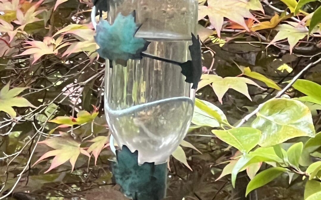 Bird Habitat