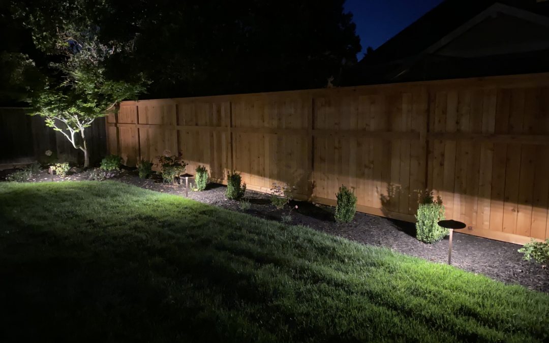 West Napa Featured Garden: Landscape Renovation