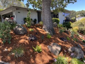 Fertilizing plants in a new installation is important